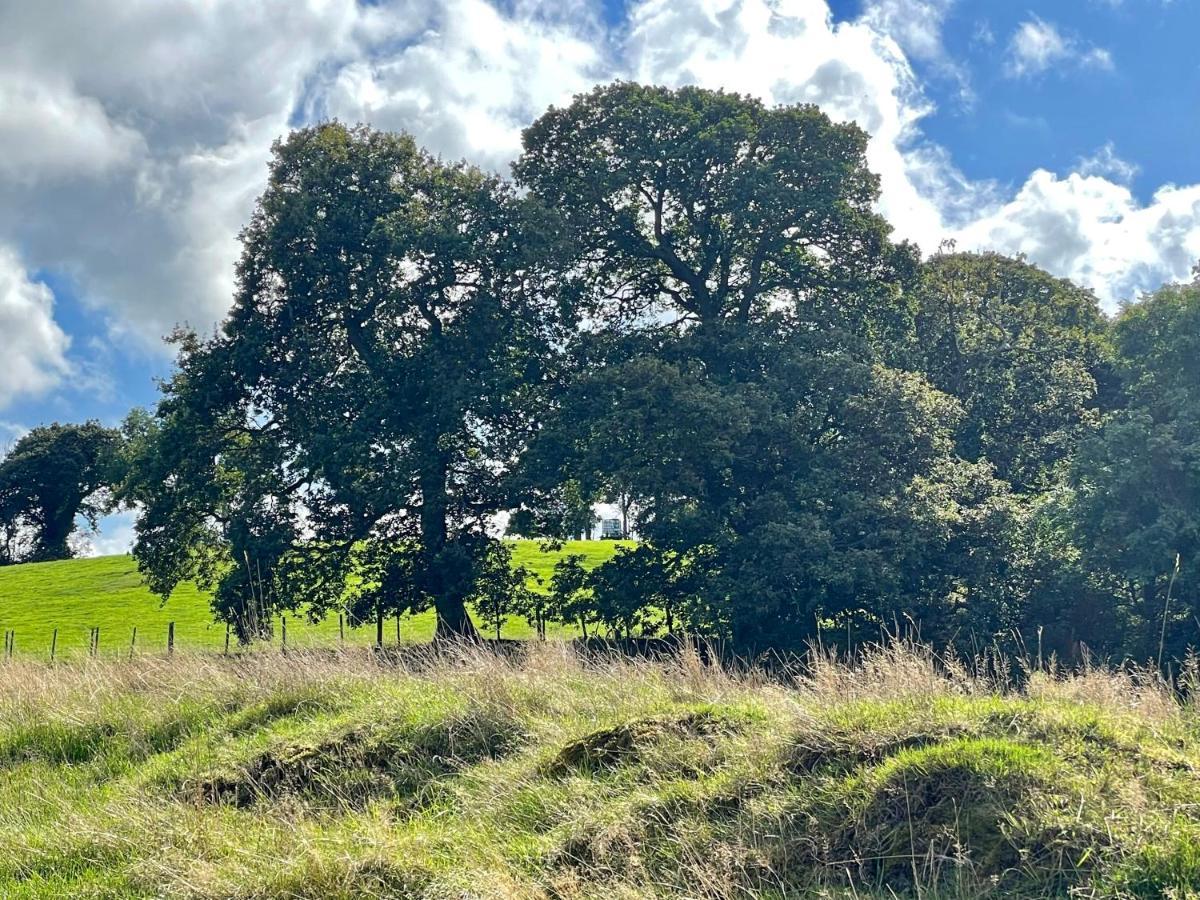 Garth- Stunning Scenic Semi-rural With Games